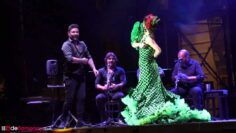 Privado: [ID: mM504-DVIMk] Youtube Automatic