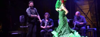 Privado: [ID: mM504-DVIMk] Youtube Automatic