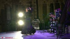 Privado: [ID: _P0C4294ACI] Youtube Automatic