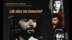 Privado: [ID: pnxfbEyAVHs] Youtube Automatic