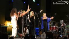 Privado: [ID: pP_38VSrDDU] Youtube Automatic