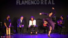 Privado: [ID: sgsOzlbbqO4] Youtube Automatic