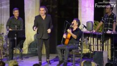 Privado: [ID: xz6_abiATGU] Youtube Automatic