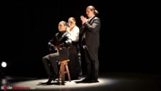 Privado: [ID: yg6vrOkYtpo] Youtube Automatic