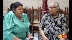 Privado: [ID: ZXzSHOy4M7o] Youtube Automatic