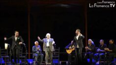 Privado: [ID: 40Ec-zZla5Y] Youtube Automatic