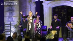 Privado: [ID: 4CpEZVhVqUM] Youtube Automatic