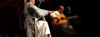 Privado: [ID: 8dC0SPKmnBI] Youtube Automatic