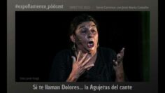 Privado: [ID: bzPgbEoslGQ] Youtube Automatic