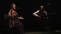 Privado: [ID: erXvCw4TpSk] Youtube Automatic