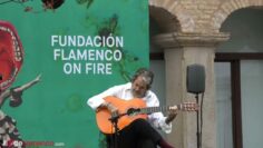 Privado: [ID: mTo-Xhjp2hw] Youtube Automatic