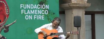 Privado: [ID: mTo-Xhjp2hw] Youtube Automatic