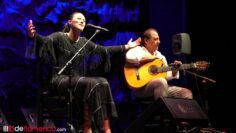 Privado: [ID: Qd6lES_Nt8U] Youtube Automatic