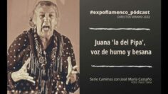 Privado: [ID: QZYLLc3b1FY] Youtube Automatic