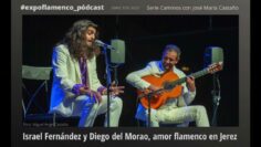 Privado: [ID: r8OQaYa9zuM] Youtube Automatic