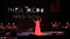 Privado: [ID: wQaqtp7UJo4] Youtube Automatic