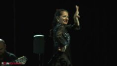 Privado: [ID: x1Kcn7SZP6I] Youtube Automatic