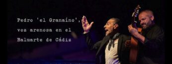 Privado: [ID: XEfRGxncil4] Youtube Automatic