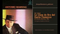 Privado: [ID: 462hoaG5wxg] Youtube Automatic