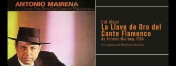 Privado: [ID: 462hoaG5wxg] Youtube Automatic