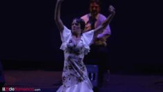 Privado: [ID: 76-APVOlekc] Youtube Automatic