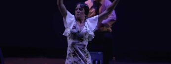 Privado: [ID: 76-APVOlekc] Youtube Automatic