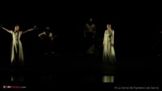 Privado: [ID: eejc1_Zr4_c] Youtube Automatic