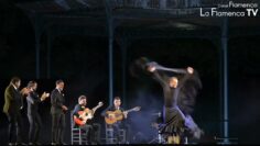 Privado: [ID: FzVSwG2BRh0] Youtube Automatic