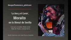 Privado: [ID: gIF5dUk8NFg] Youtube Automatic