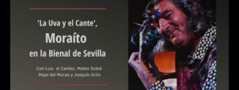 Privado: [ID: gIF5dUk8NFg] Youtube Automatic