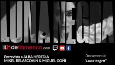 Privado: [ID: gZ-kyEh89Oc] Youtube Automatic