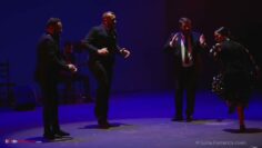 Privado: [ID: Jlg6pHTDyA4] Youtube Automatic