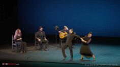 Privado: [ID: jSc4uR_Gu_Y] Youtube Automatic