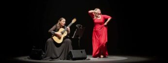 Privado: [ID: krcthDBpBTQ] Youtube Automatic