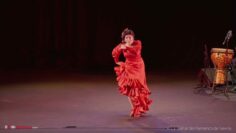 Privado: [ID: LKRAzl-xrUU] Youtube Automatic