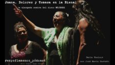 Privado: [ID: SwJcw5IgGl4] Youtube Automatic