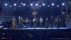 Privado: [ID: SXWBRR_IhgA] Youtube Automatic