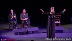 Privado: [ID: y8dIMScN2uk] Youtube Automatic