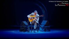 Privado: [ID: 0w0TuukEeWY] Youtube Automatic