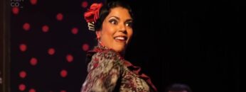 Privado: [ID: 8o6RlutXyOw] Youtube Automatic