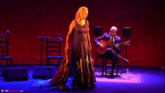 Privado: [ID: 9W35WzwDi1U] Youtube Automatic