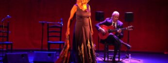 Privado: [ID: 9W35WzwDi1U] Youtube Automatic