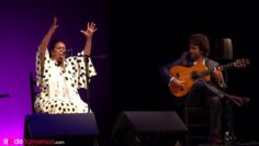 Privado: [ID: E2d11GWhp3Y] Youtube Automatic