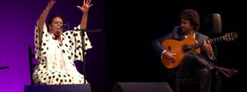 Privado: [ID: E2d11GWhp3Y] Youtube Automatic