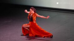 Privado: [ID: fPxzWvq5kwM] Youtube Automatic