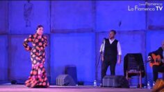 Privado: [ID: jbq642rXjvs] Youtube Automatic