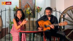 Privado: [ID: Pn83NEqCL94] Youtube Automatic