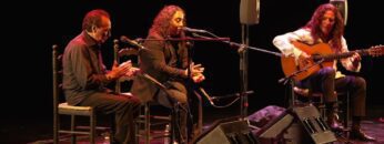 Privado: [ID: qSHKFfcCnRE] Youtube Automatic