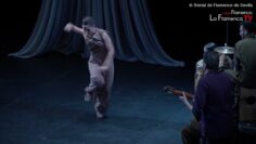 Privado: [ID: r98n-JJQ_WY] Youtube Automatic