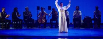 Privado: [ID: rPlMVu9I6U8] Youtube Automatic